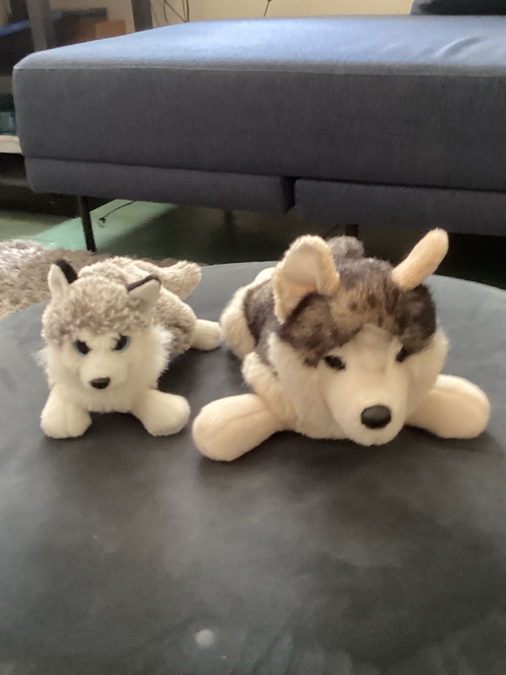 Pair of Plush Husky Dog and Wolf Stuffed Animals - Gray & Cream dual bundle